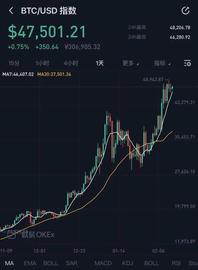 一年涨10倍!比特币2020年创造历史,“一天挣了一年工资”,谁是最大的受益者?