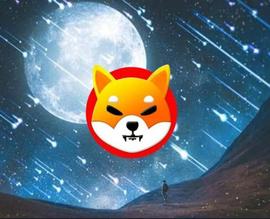 「崛起社区」Shiba Inu 在崩盘后恢复了 37%：SHIB 的看涨迹象？