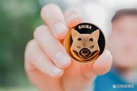 Shiba Inu(SHIB)有可能像它的领导者一样集结 150%+ 吗?