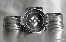BNB 多头目标为 260 美元 SEC v Ripple 裁决对 SEC 指控的影响