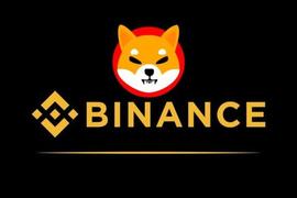 Binance 对 Shiba Inu 的评级很高,准备将 SHIB 从创新区中移除