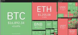 比特币价格和以太坊不变,Chiliz Rockets 16%