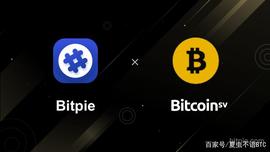比特派BSV使用教程
