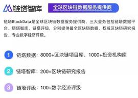 The Voice of Blockchain | 从存续思考公链社区参治—链上之城