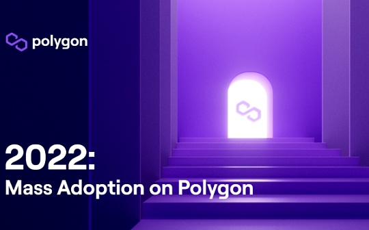 Polygon 生态2022:在主流世界里撕开一束光