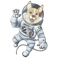 SpaceCorgi|SCORGI_SCORGI币价格_SCORGI最新价格_SCORGI交易所
