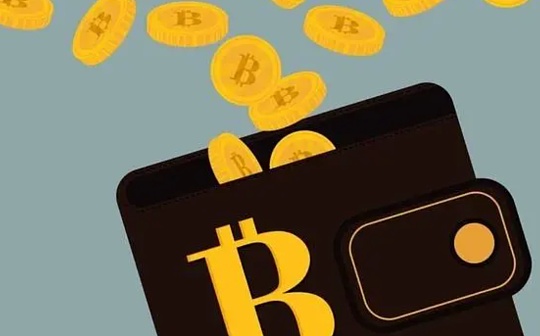慢雾:Web3 假钱包第三方源调查分析