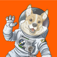 SpaceCorgi|SCORGI_SCORGI价格_SCORGI最新价格_SCORGI交易所